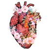 Anatomical Heart And Flowers