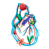 Cœur anatomique et fleurs