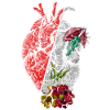 Anatomical Heart And Flowers