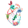 Cœur anatomique et fleurs