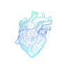 Parts Of Heart