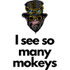 Monkeys everywhere