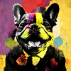 Bouledogue français, Frenchie, Collage