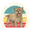 Cairn Terrier Chien