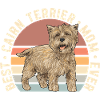 Cairn Terrier Dog
