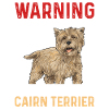 Cairn Terrier Chien