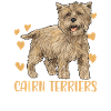 Cairn Terrier Chien