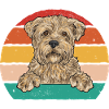 Cairn Terrier Dog
