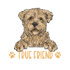 Cairn Terrier Dog