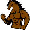 Strong Horse