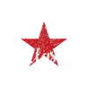 Antifascist Red Star