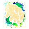 Tardigrade
