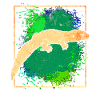 Salamander