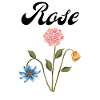 Rose - Rosen Design