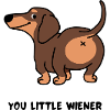 You Little Viennese, Dachshund