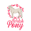 Meilleure maman poney galloise