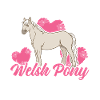 poney gallois fou