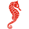 Red seahorse