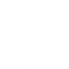 White seahorse
