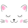 Small cat