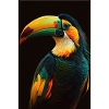 Toucan Bird Beaked Woodpecker Birds