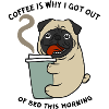 Dog with coffee mug