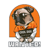 Cool Dog Wanted!