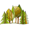 Baum