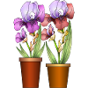 Blumen