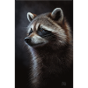 Raccoon