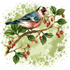 Bunter Vogel
