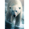 Polar bear