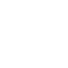 THE TEAM