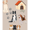 hunde