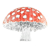 Red toadstool AMANITA MUSCARIA