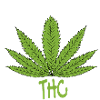 My medicine
