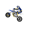 Supermotard