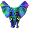 fanta fant