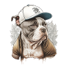 Bulldog Street avec Casquette