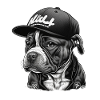Bulldog Streetwear Cap Black