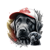 Chien portrait casquette et plumes