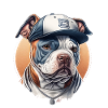 Bulldog Blue Cap Sportif