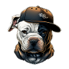 Bulldog Casquette Urbaine