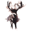 Watercolour deer with antlers