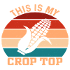 This is my Crop Top