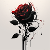 Rose of love
