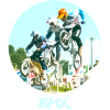 BMX