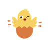 Egg-cited hatching chick