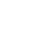 Funny Chick Lover Saying