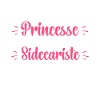 sidecariste